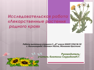 Исследовательская работа «Лекарственные растения с. Овечкино