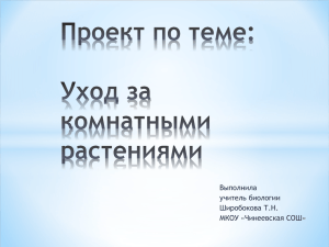 Проект по теме: Уход за комнатными растениями