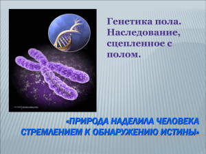 «ПРИРОДА НАДЕЛИЛА ЧЕЛОВЕКА СТРЕМЛЕНИЕМ К ОБНАРУЖЕНИЮ ИСТИНЫ» Генетика пола. Наследование,