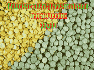 Документ4842460 4842460