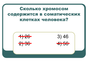 Сколько хромосом содержится в соматических клетках человека?