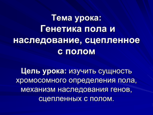 Тема урока: Генетика пола и наследование сцепленное с полом