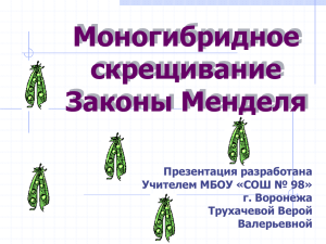 Моногибридное скрещивание Законы Менделя Презентация разработана