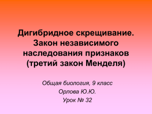 Урок № 033_9