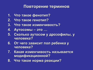 Повторение терминов