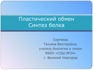 Пластический обмен Синтез белка Сергеева Татьяна Викторовна,