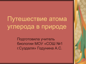 Путешествие атома углерода в природе