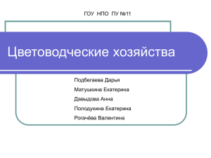 Цветоводческие хозяйства