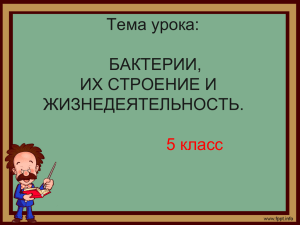 Тема урока: БАКТЕРИИ, ИХ СТРОЕНИЕ И ЖИЗНЕДЕЯТЕЛЬНОСТЬ.