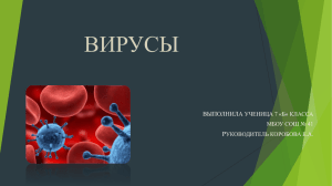 ВИРУСЫ.