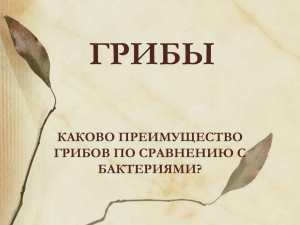 ГРИБЫ КАКОВО ПРЕИМУЩЕСТВО ГРИБОВ ПО СРАВНЕНИЮ С БАКТЕРИЯМИ?