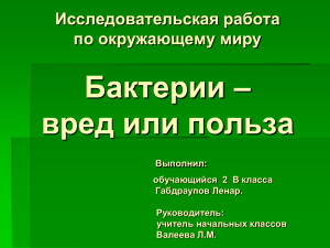 Исследовательская работа по окружающему миру Бактерии