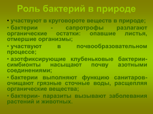 Роль бактерий в природе