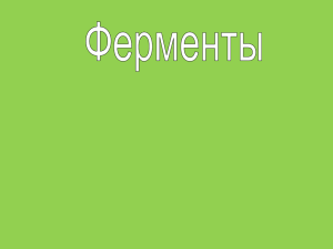 Ферменты - WordPress.com