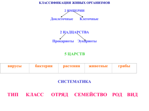 ТИП      КЛАСС    ... 5 ЦАРСТВ вирусы бактерии