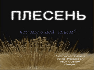 что мы о ней знаем?