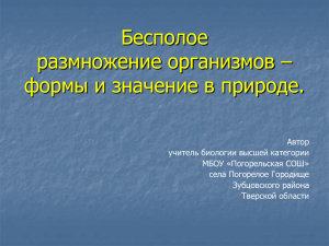 Бесполое размножение организмов – формы и значение в природе.