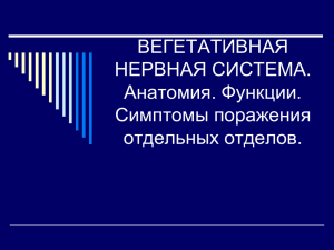 ВЕГЕТАТИВНА НЕРВОВА СИСТЕМА. Анатомія. Функції