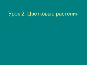 2. Цветковые растения