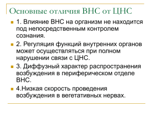 Функциональные особенности ВНС