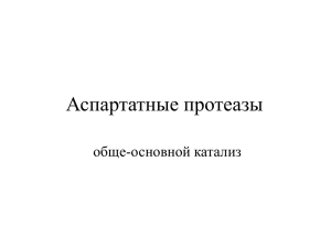 "АСПАРТАТНЫЕ ПРОТЕАЗЫ" (261 Kbytes)