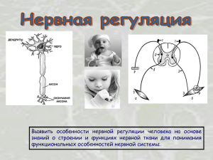 Состав рефлекторной дуги ЗНАТЬ НАИЗУСТЬ!!!! Простая дуга