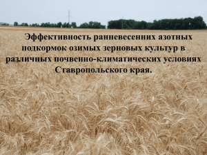 в условиях зоны неустойчивого увлажнения Ставропольского края.