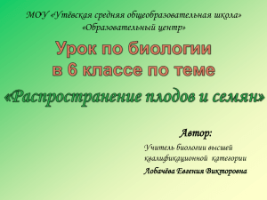 Урок по биологии 6 класс "Распространение плодов и семян"