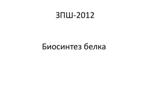 ЗПШ-2012 Биосинтез белка