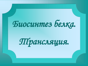 Биосинтез белка. Трансляция.