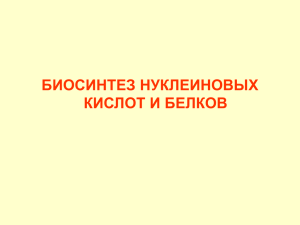 БИОСИНТЕЗ НУКЛЕИНОВЫХ КИСЛОТ И БЕЛКОВ Аденин