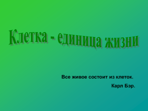 Все живое состоит из клеток. Карл Бэр.