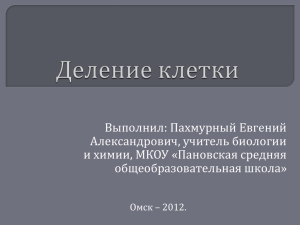 Деление клетки - МБОУ "Пановская средняя