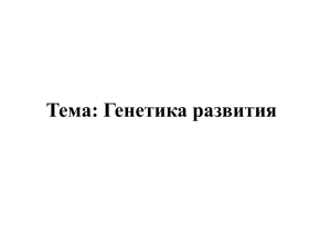 Генетика развития