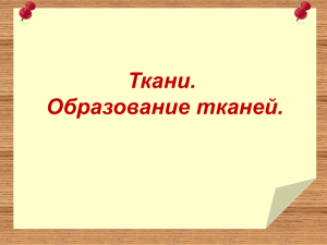 Ткани. Образование тканей.