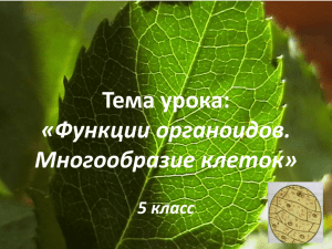 Тема урока: «Функции органоидов. Многообразие клеток» 5 класс