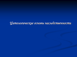 Цитологические основы наследственности