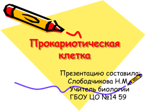 Прокариотическая клетка Презентацию составила: Слободчикова Н.М.