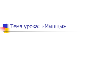 Тема урока: Мышцы, их строении и функции.