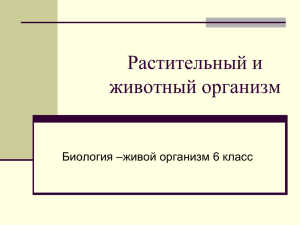 презентация растительный и животный организм