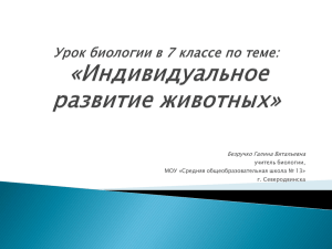 Безручко Галина Витальевна учитель биологии, МОУ «Средняя общеобразовательная школа № 13» г. Северодвинска