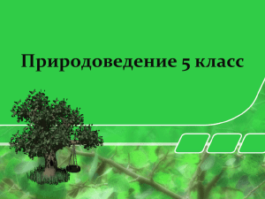 Возвращают ли живые организмы вещества в окружающую среду