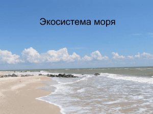 Экосистема моря