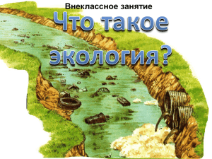 Внеклассное занятие