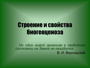 Строение и свойства биогеоценоза Ни один живой организм в свободном