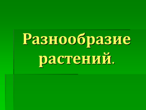 Разнообразие растений 3 класс