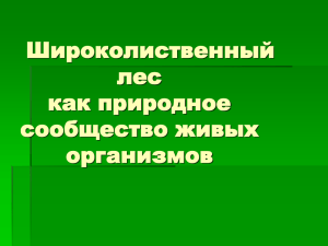 Широколиственный лес как природное сообщество живых