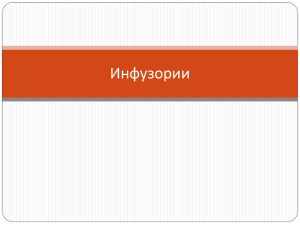 Инфузори