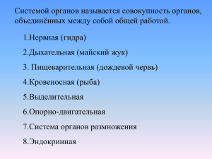 Системой органов называется совокупность органов, объединённых между собой общей работой. 1.Нервная (гидра)