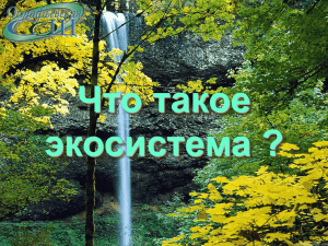 Что такое экосистема ?